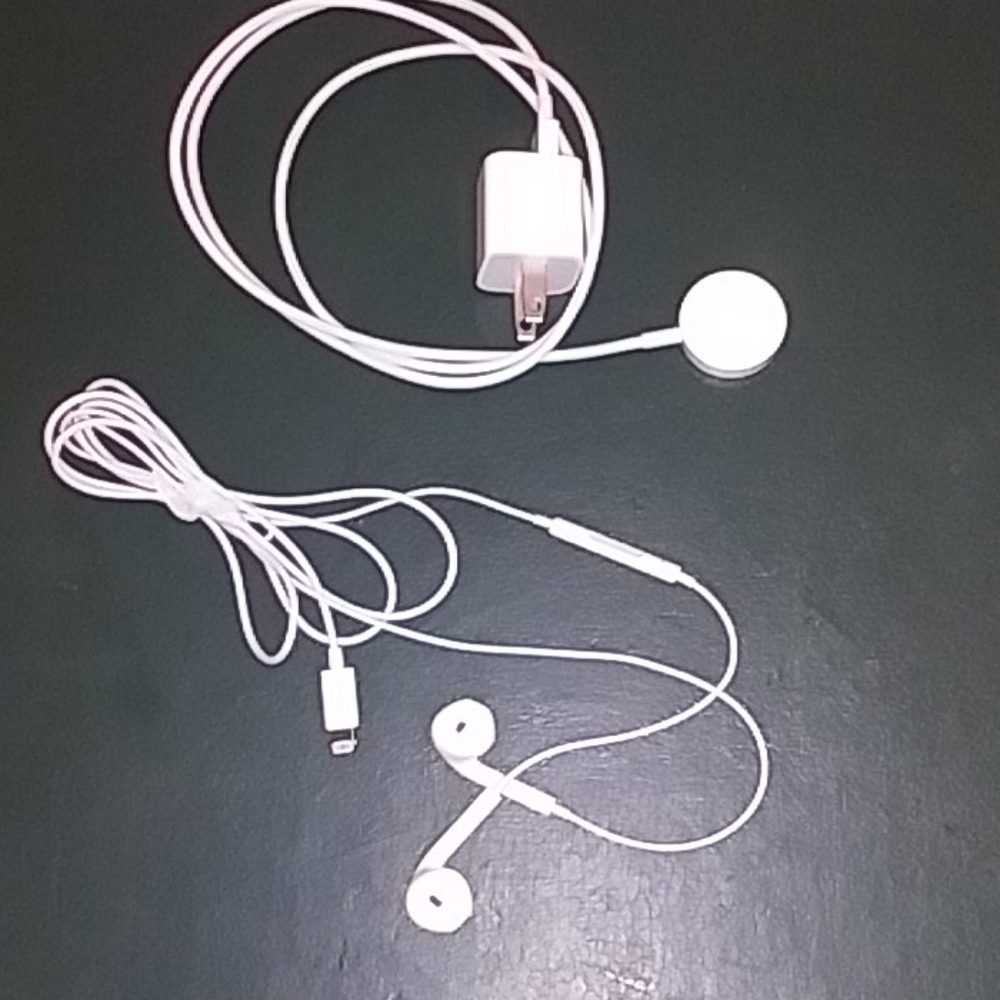 Apple I Phone Ear Buds & Magnet Charger